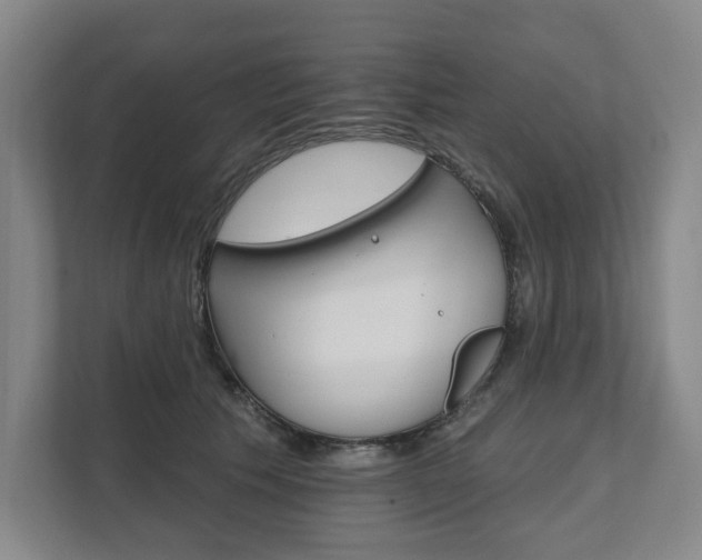 X0000111580609200907231237