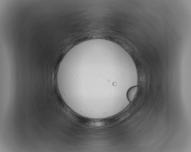 X0000111580610200907231237