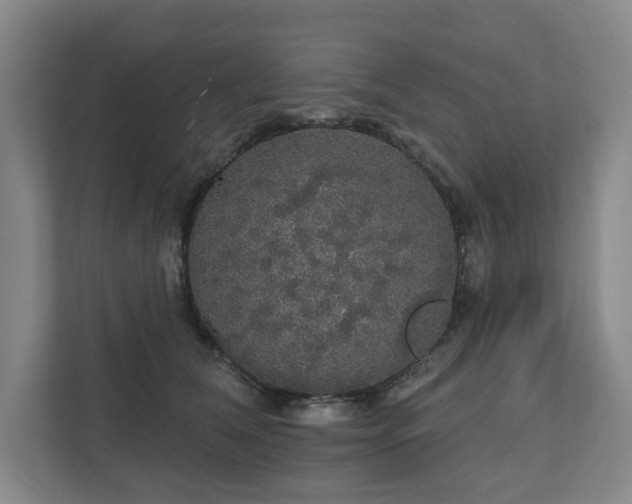 X0000111580612200907231237