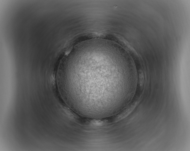 X0000111580613200907231237