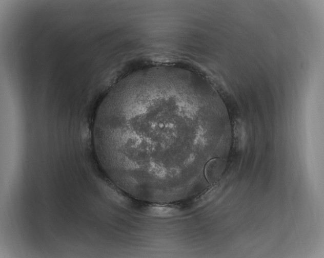 X0000111580614200907231237