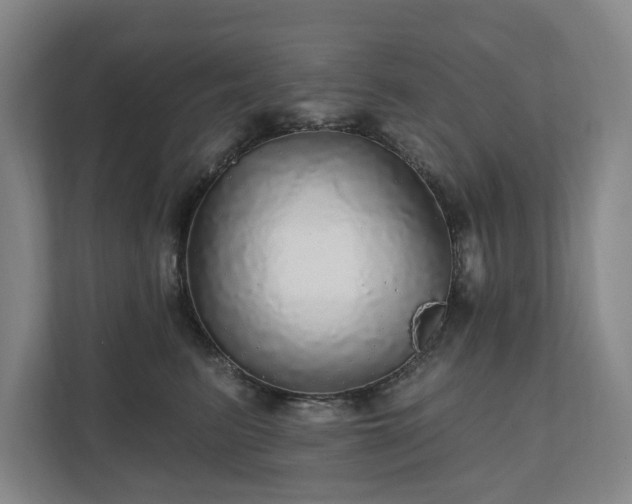 X0000111580615200907231237