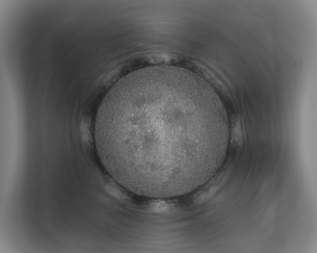 X0000111580616200907231237