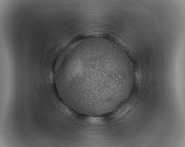 X0000111580617200907231236