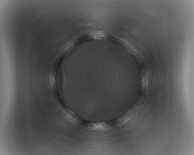X0000111580618200907231236