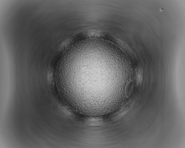 X0000111580619200907231236