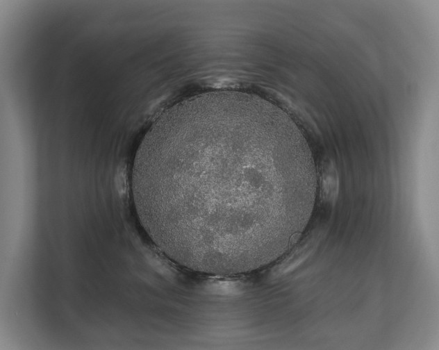 X0000111580620200907231236