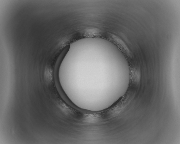 X0000111580621200907231236