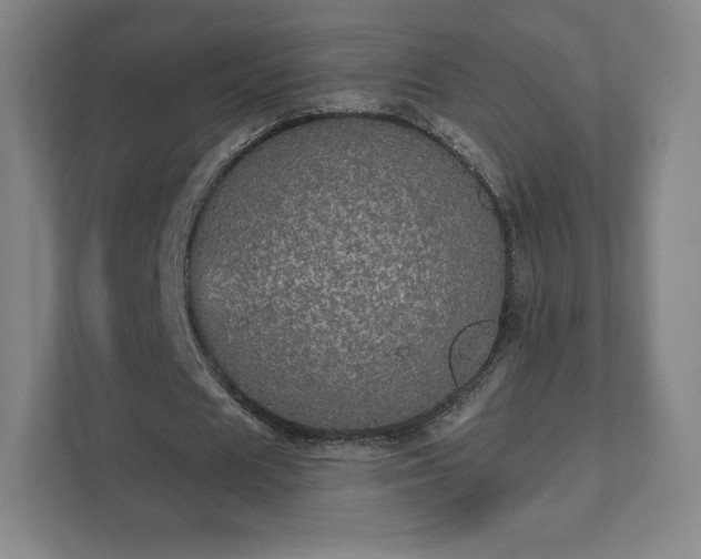 X0000111580625200907231236