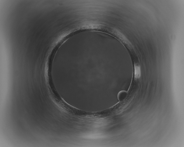 X0000111580627200907231236