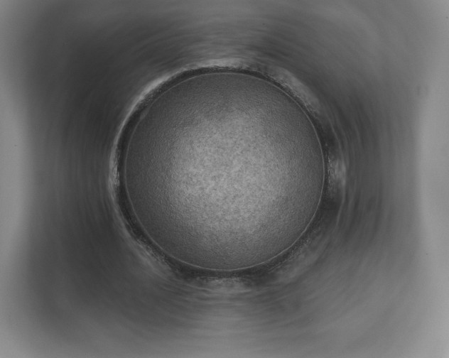 X0000111580628200907231236