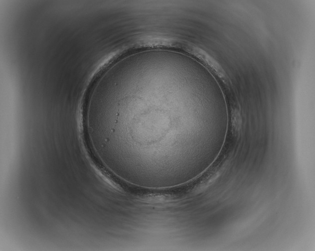 X0000111580629200907231236