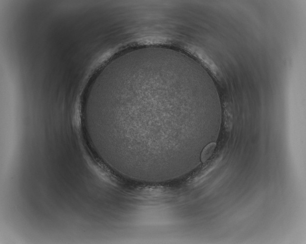 X0000111580631200907231236
