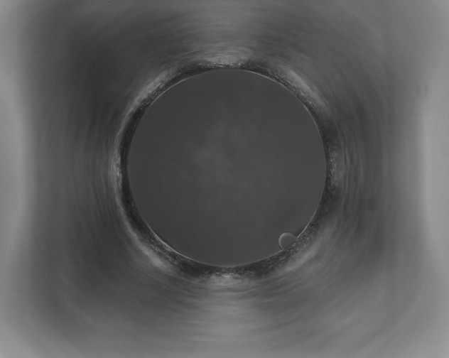 X0000111580634200907231236