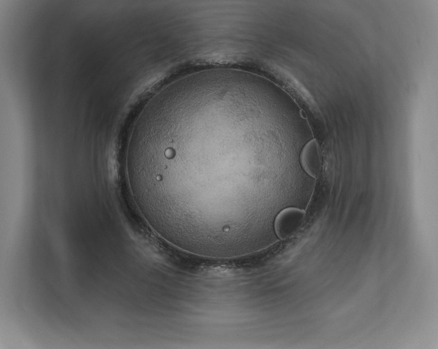 X0000111580635200907231236