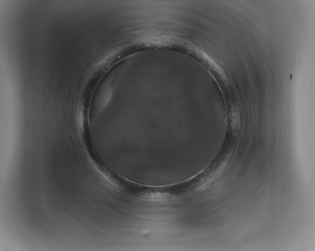 X0000111580637200907231236