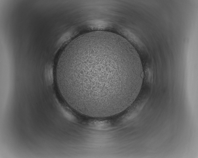 X0000111580638200907231236