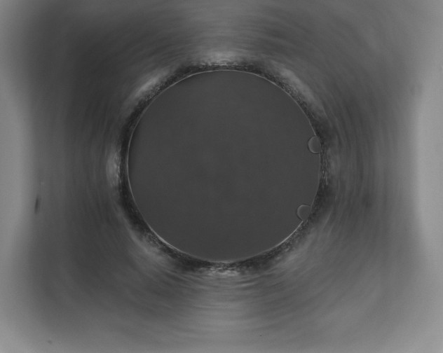 X0000111580640200907231236