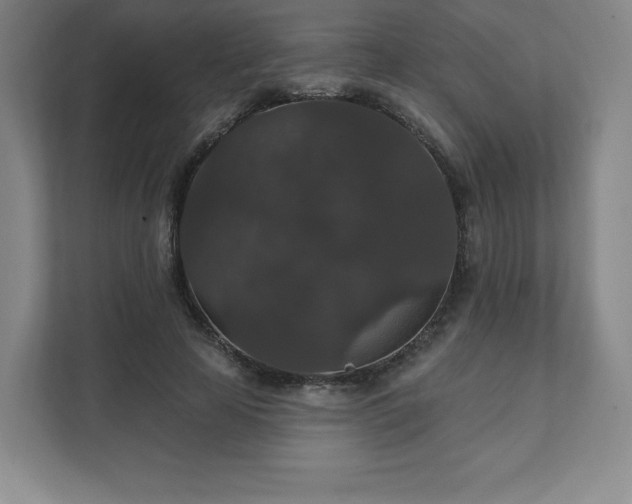 X0000111580641200907231236