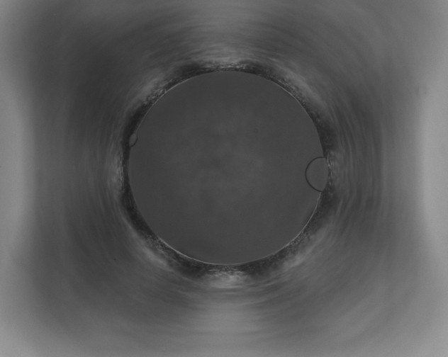 X0000111580642200907231236