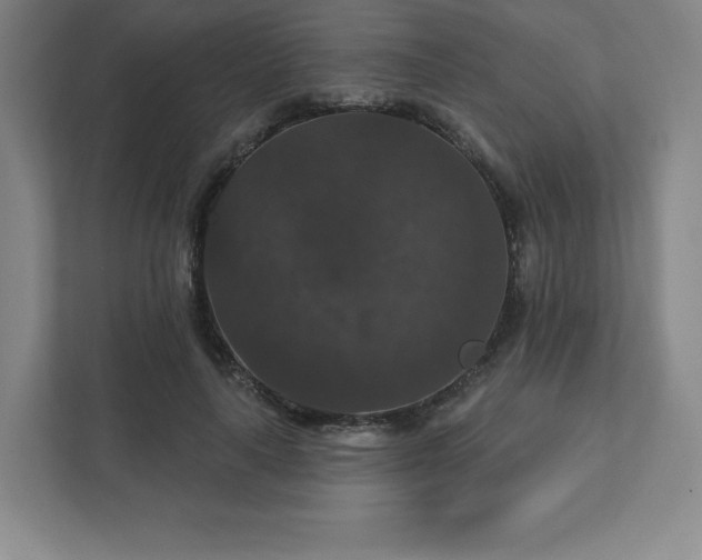 X0000111580643200907231236