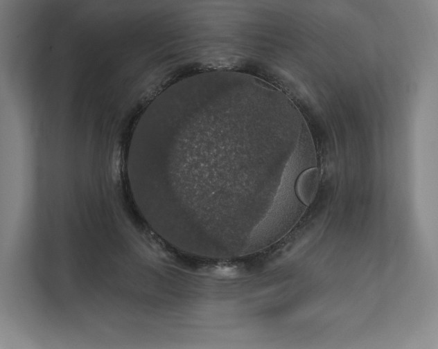 X0000111580647200907231236