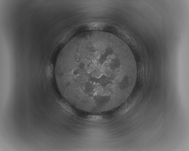 X0000111580649200907231236