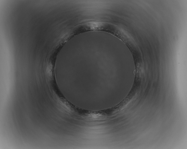 X0000111580650200907231236