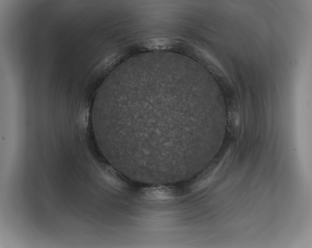 X0000111580652200907231236