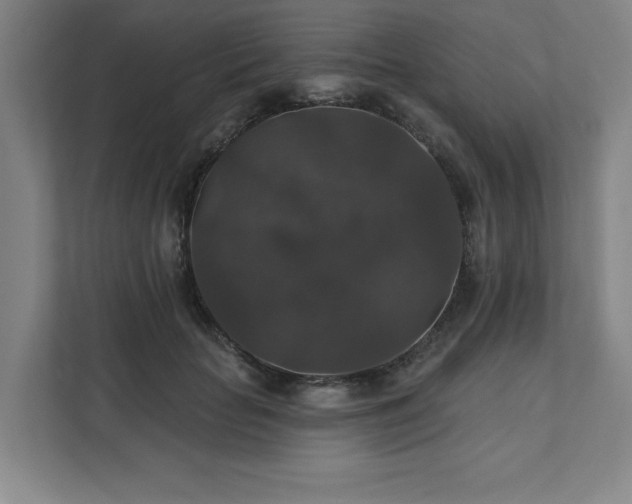 X0000111580653200907231236