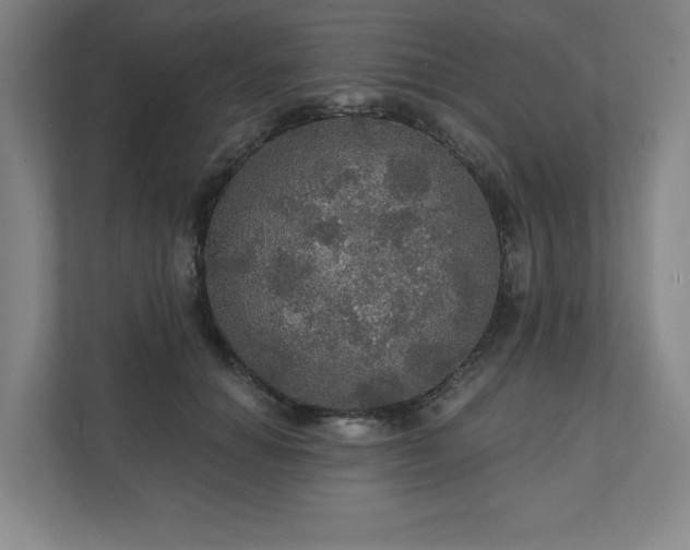 X0000111580654200907231236