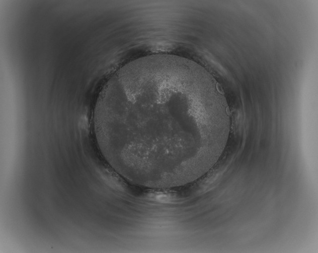 X0000111580655200907231236