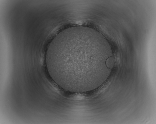 X0000111580656200907231236