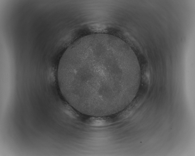 X0000111580658200907231236