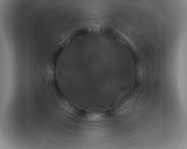 X0000111580661200907231236