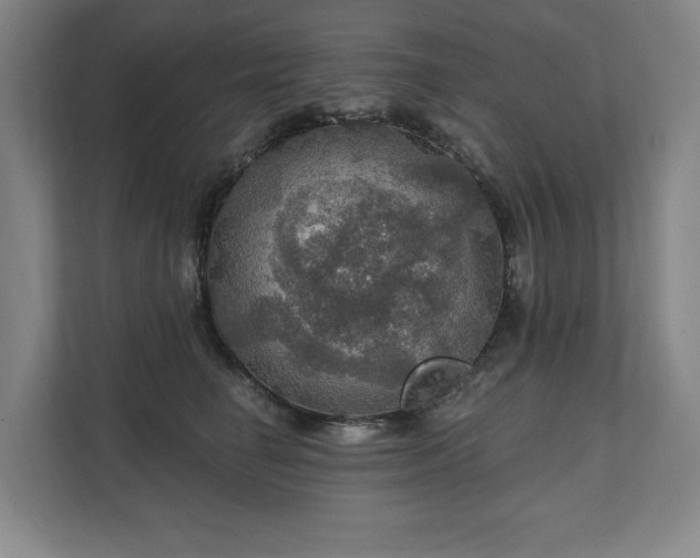 X0000111580662200907231236