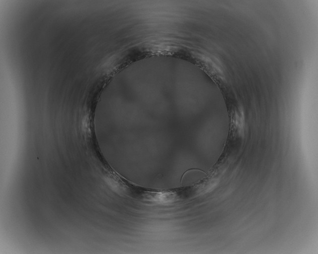 X0000111580663200907231236