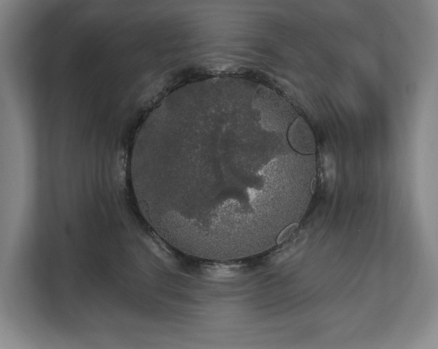 X0000111580664200907231236