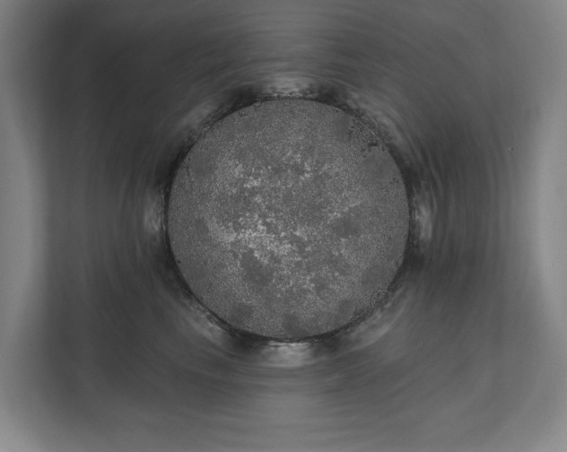 X0000111580665200907231236