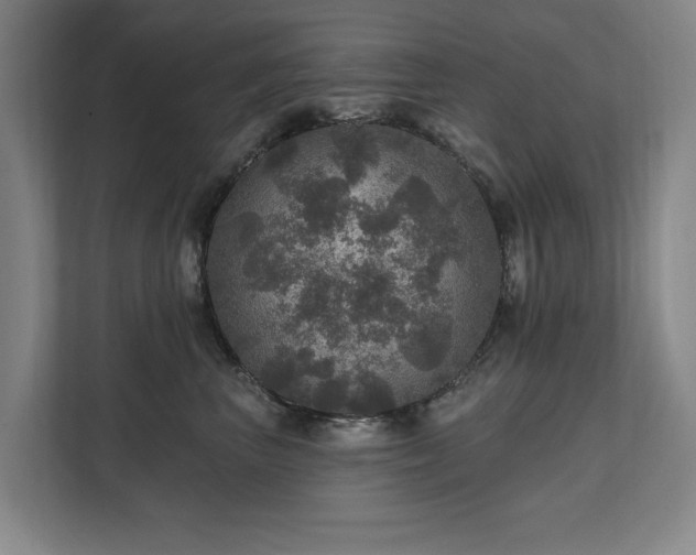 X0000111580667200907231236