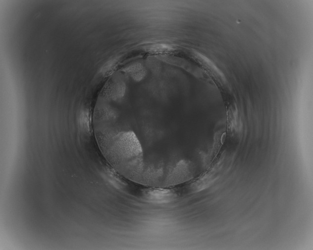X0000111580669200907231236