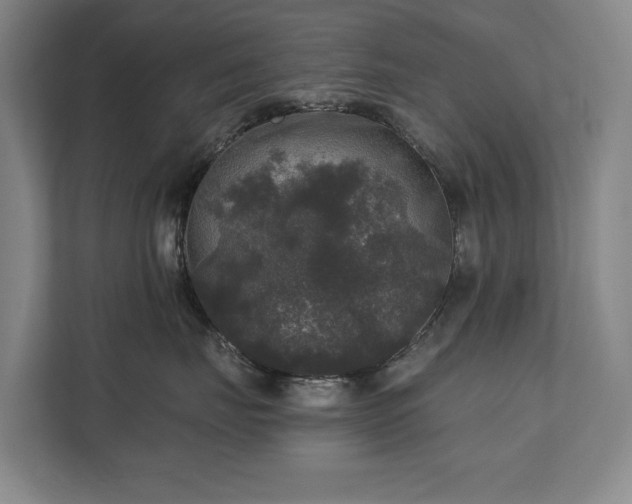 X0000111580671200907231236