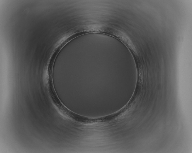 X0000111580674200907231236