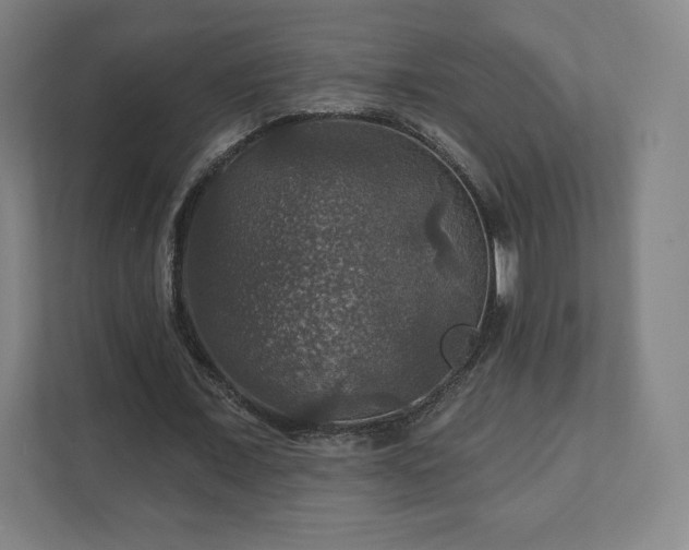 X0000111580675200907231236