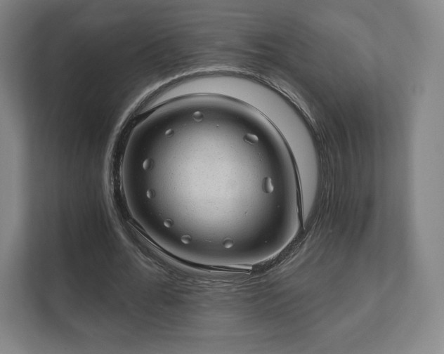 X0000111580676200907231236