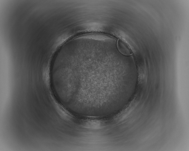X0000111580677200907231236