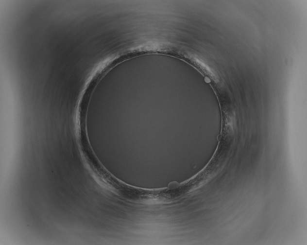 X0000111580678200907231236