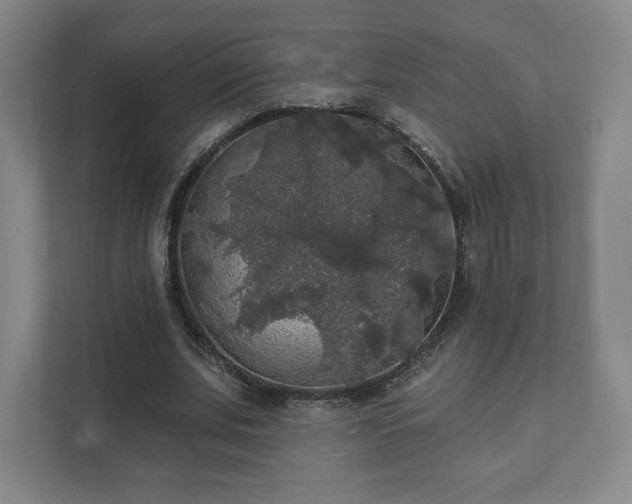 X0000111580679200907231236