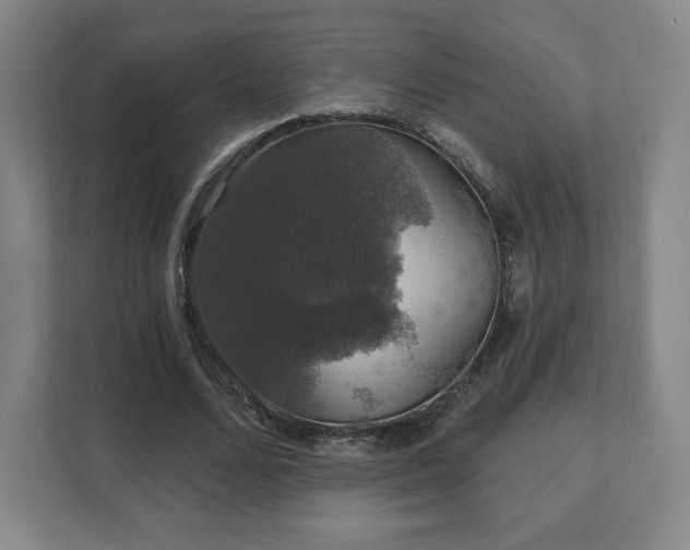 X0000111580680200907231236