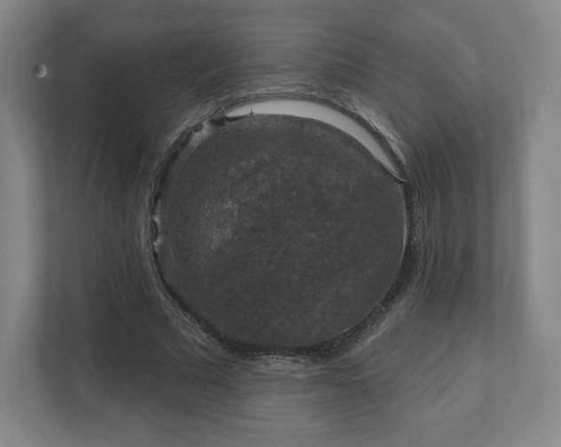 X0000111580681200907231236
